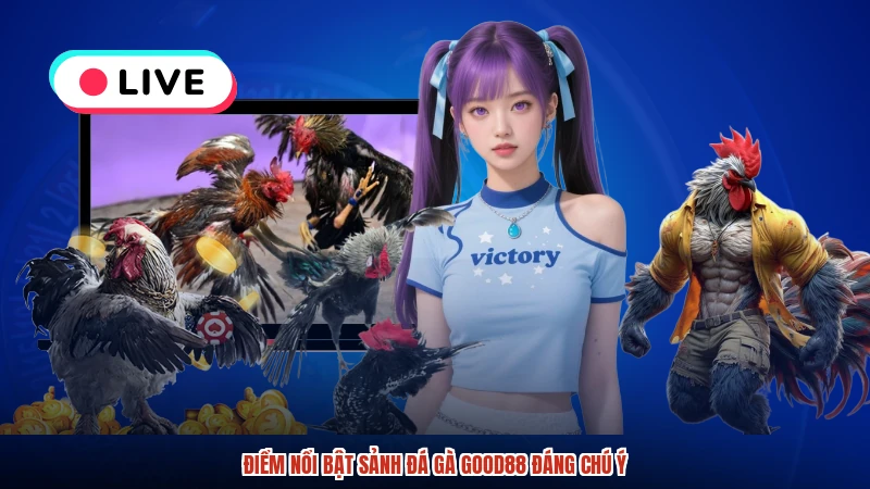 Điểm nổi bật sảnh đá gà GOOD88 đáng chú ý Điểm nổi bật sảnh đá gà GOOD88 đáng chú ý