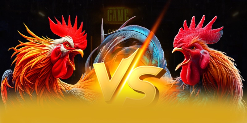 8XBET - San choi quy tu nhieu sieu pham hot 2025 8XBET - San choi quy tu nhieu sieu pham hot 2025